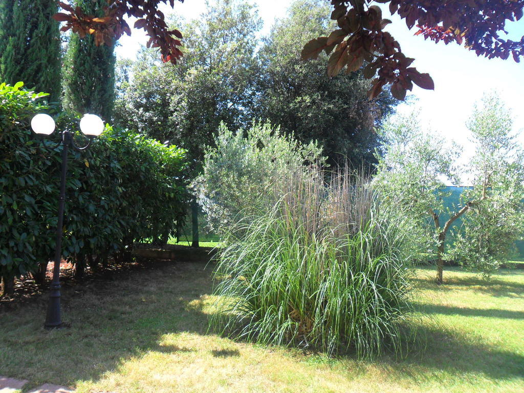 Aparthotel Casale Santa Caterina Amelia Exterior foto